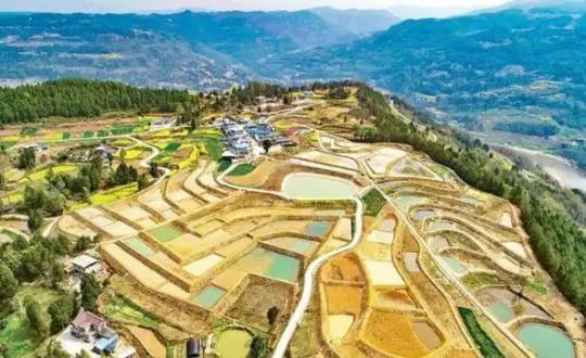 《中國鄉(xiāng)村振興綜合調查研究報告2021》發(fā)布，數字化蔚然成風！