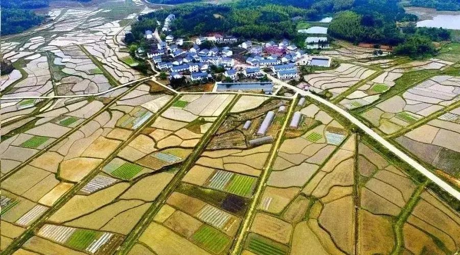 【報告解讀】畢馬威數智賦能城鄉融合發展報告