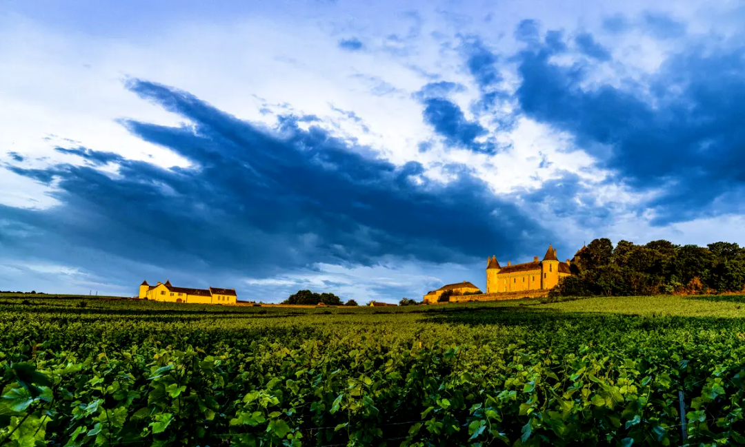 【產業透視】如何打造數字鄉村？這些國內外經典案例值得借鑒