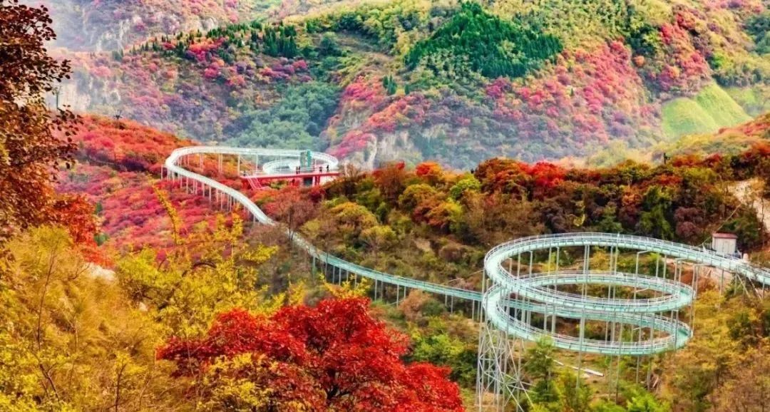 【鄉村振興】搞鄉村振興，收好了這36個典型鄉村振興案例！