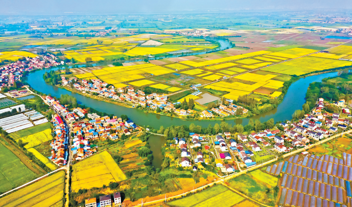 【報告解讀】《2023中國農業農村發展趨勢報告》重磅發布 建設農業強國目標