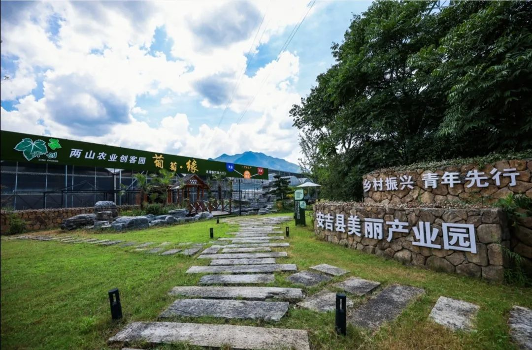 鄉村振興怎么搞？這36個案例值得借鑒，農文旅、產業集群、三產融合