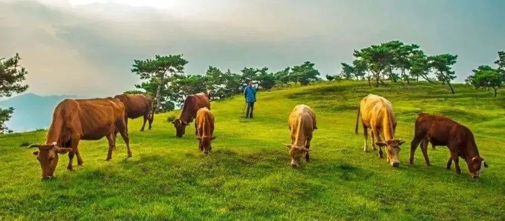 【鄉村振興】中國十大田園綜合體