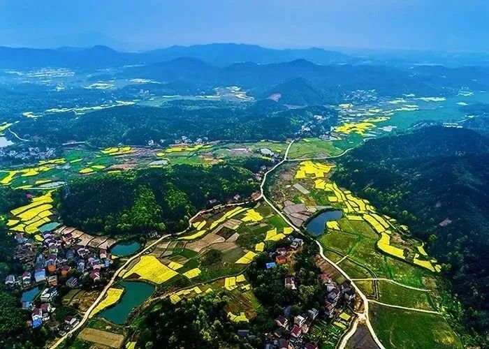 【鄉村振興模式】2023年，鄉村振興策劃的9種發展模式