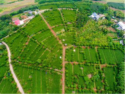 案例剖析！村集體如何構建新經濟+新模式（以浙江省為樣本）