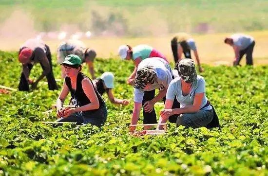 【世界農業案例】德國鄉村多元化發展對我國鄉村振興的啟示