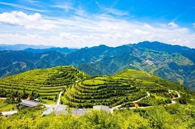 劉建生等：鄉(xiāng)村振興背景下農(nóng)村三產(chǎn)融合：樣態(tài)類型、發(fā)展路徑及對策建議