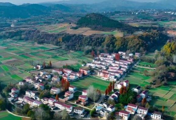 興農易買——助力鄉村振興，實現物質與精神的雙重富裕