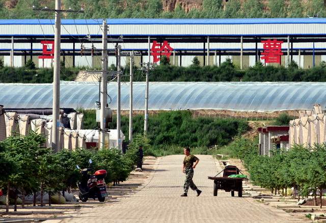 利好農業！自然資源部：優先保障鄉村重點產業和項目用地