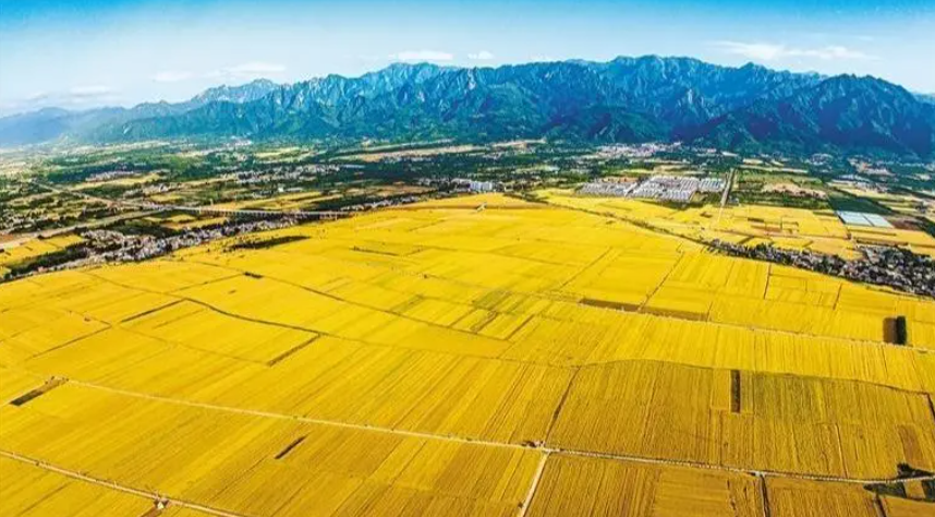 鄉村振興20字總方針、5個振興、3步走、7堅持