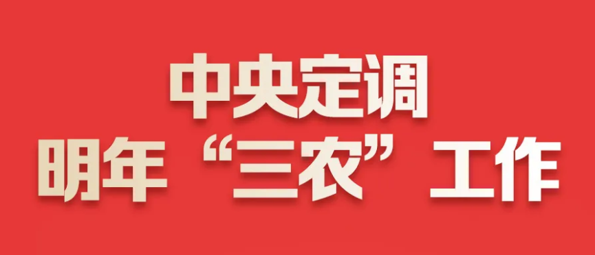 【圖解】中央定調2025“三農”工作，引爆鄉村振興