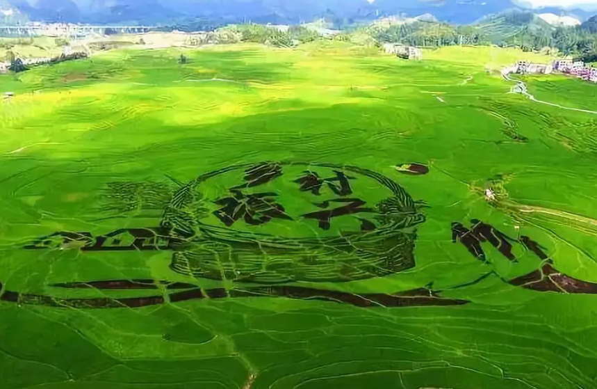 鄉村振興(和美鄉村建設及農村產業融合發展方向)中央預算內投資專項管理辦法