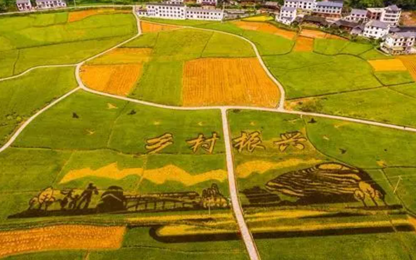 特色產業助力鄉村全面振興：特征、挑戰與對策