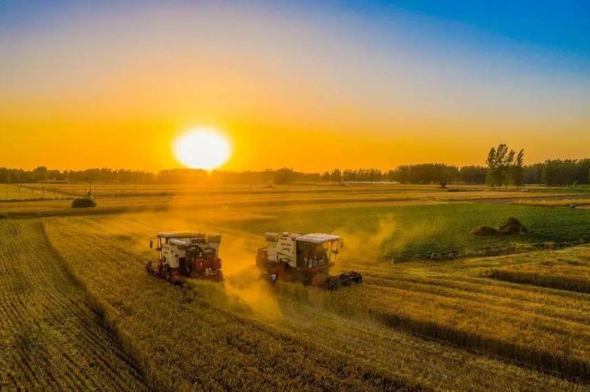 全面推進鄉村振興的十大重點