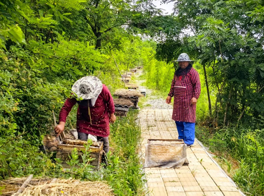 【鄉村振興】鄉村運營： 探索創新路徑，破解運營難題