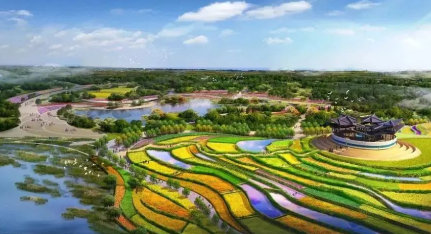 案例剖析！“農業+”如何助力鄉村振興，方法可復制