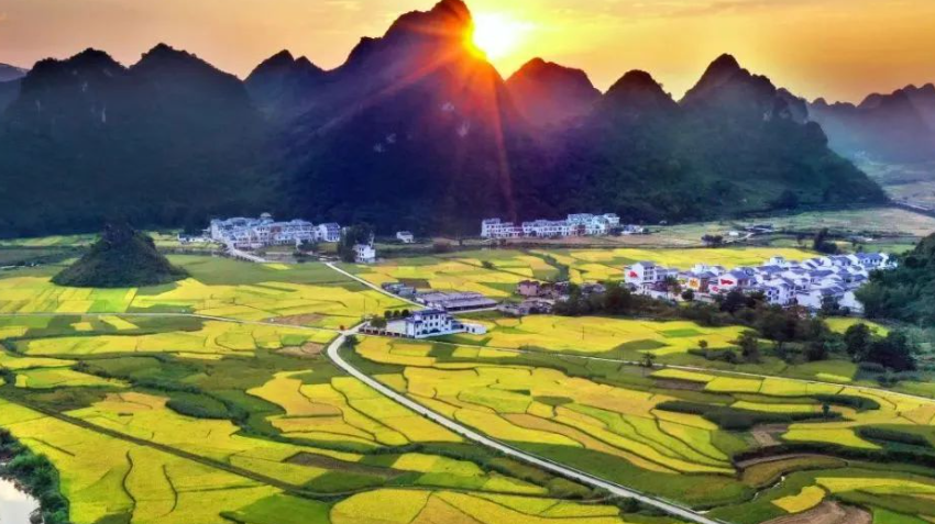 【數字鄉村】做好新時期數字鄉村建設的5個著力點