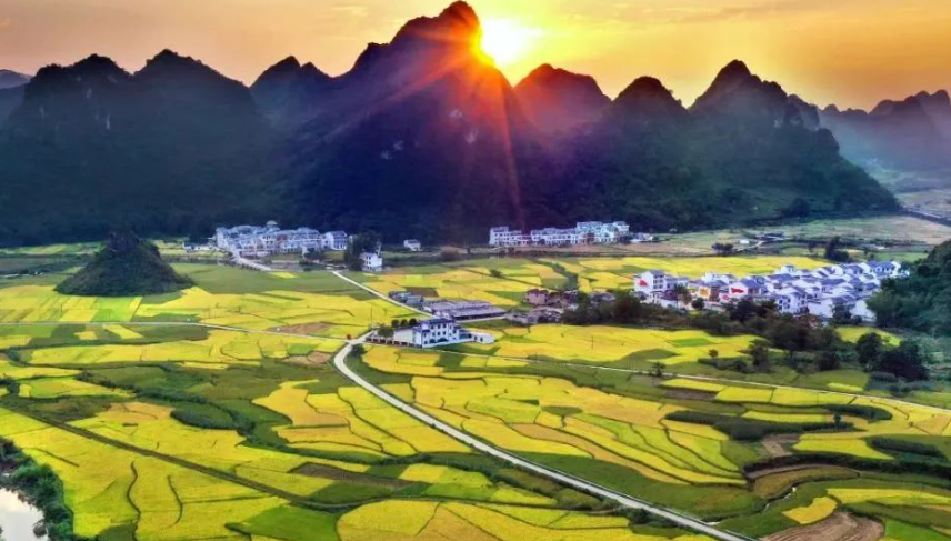 【數字鄉村】數字鄉村建設：當代農村發展新模式