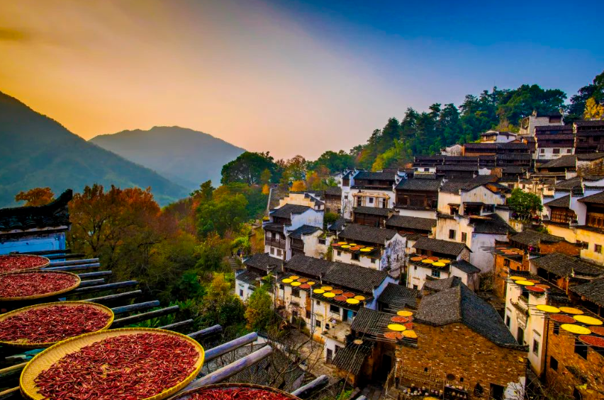 【理論研究】張紅宇：中國特色鄉(xiāng)村產(chǎn)業(yè)發(fā)展的道路選擇