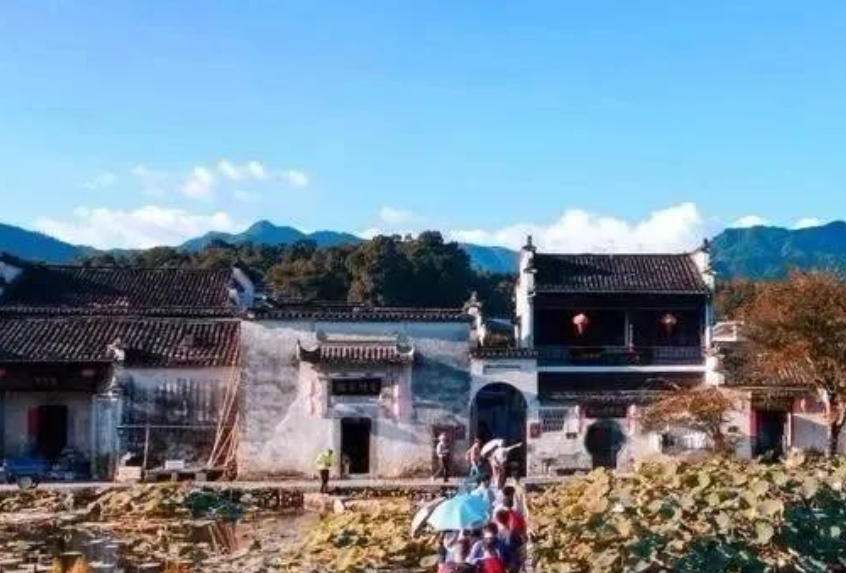 深度剖析！中國鄉村產業未來的發展方向