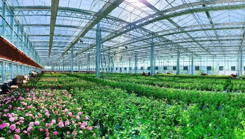 2025年50個國家現代農業產業園、40個產業集群項目擬立項名單