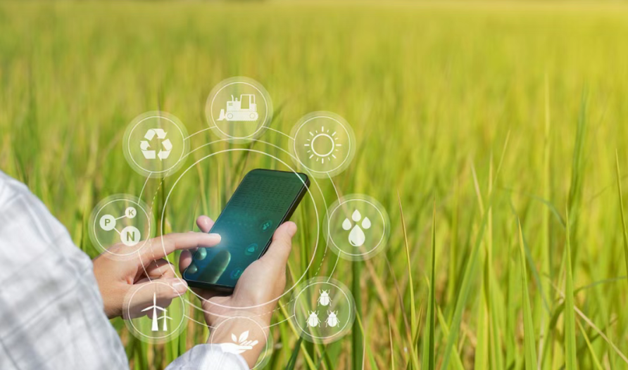 數字鄉村建設發展：成效、問題及對策分析