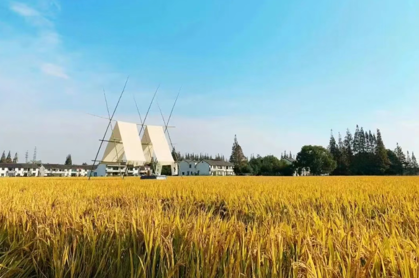 【鄉村振興】藝術下鄉創造多元發展，老房新生激發鄉村振興新動能