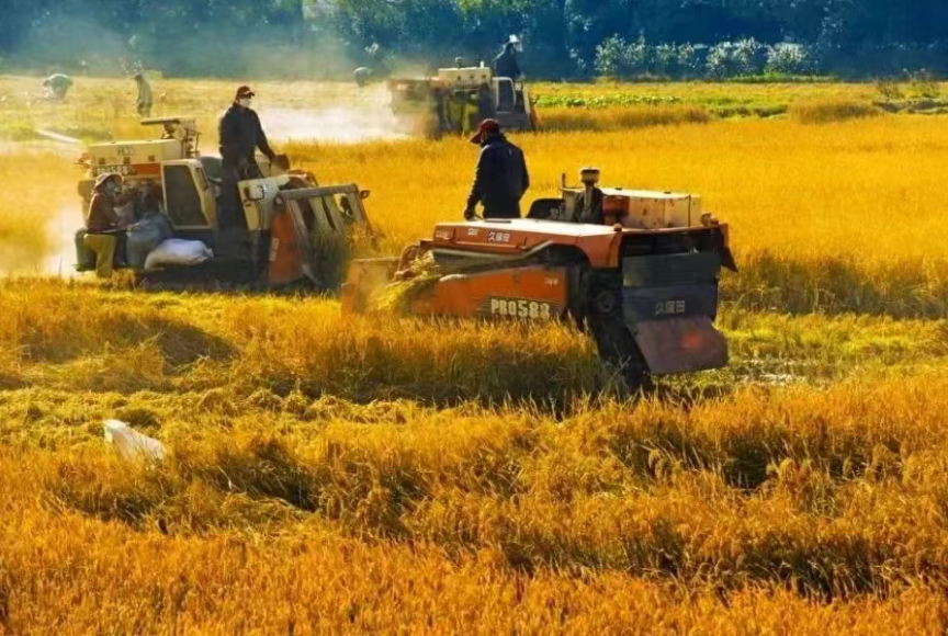 【世界農業案例】好奇未來鄉村啥樣？全球產業典范給你答案