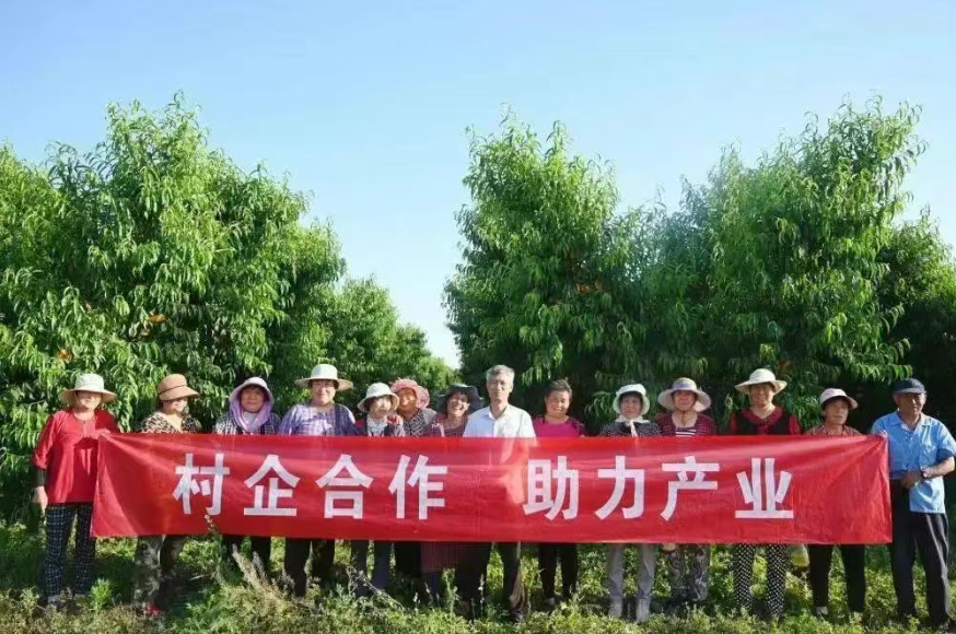 【鄉村振興模式】鄉村振興：浙江“片區組團”的8種模式