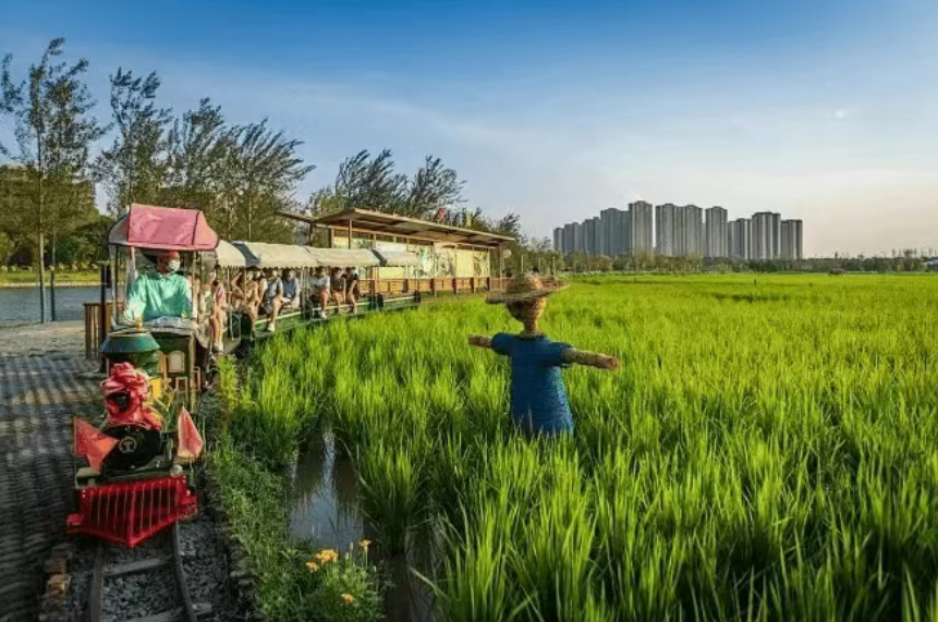 【政策解讀】劃重點(diǎn)！2025 年鄉(xiāng)村文旅數(shù)字化四大發(fā)力方向