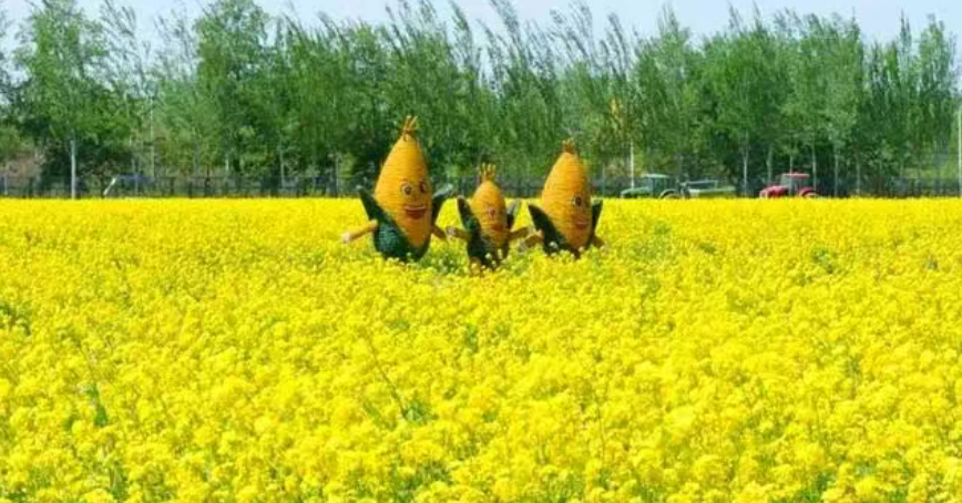 【農業模式】發展壯大農村集體經濟的7種類型