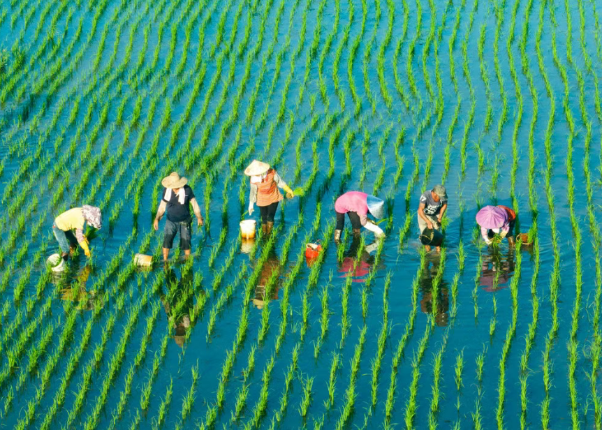 百千萬工程”背景下的鄉(xiāng)村振興綜合發(fā)展模式