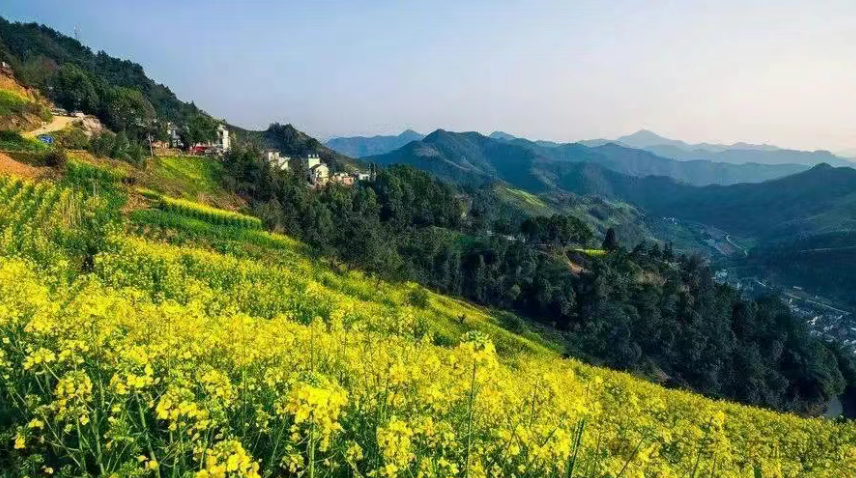 美麗鄉(xiāng)村建設十大模式（附案例）