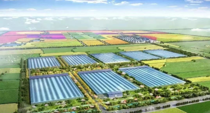 縣域經(jīng)濟正當時！以農(nóng)業(yè)產(chǎn)業(yè)園激活縣域經(jīng)濟的五大路徑