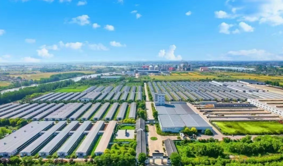 解讀！鄉村產業發展難題怎么破？