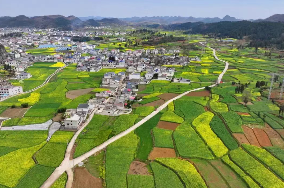 【政策通知】國務院關于促進鄉村產業振興的指導意見