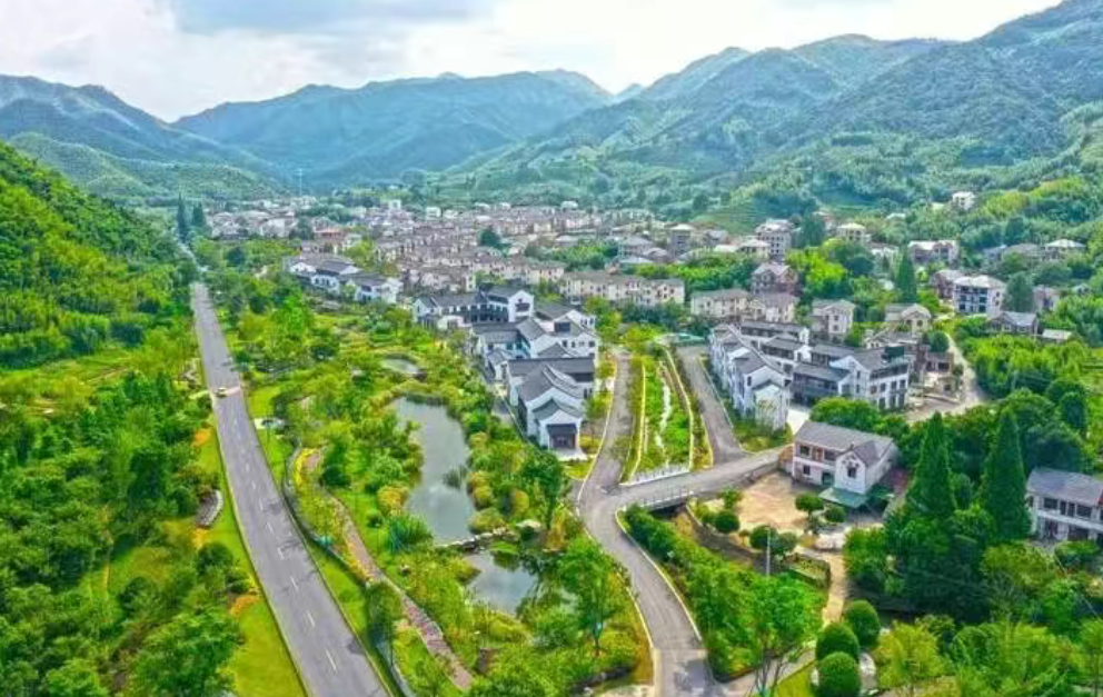 黃啟才、黃巧龍：串珠成鏈，打造鄉村共富特色產業集群