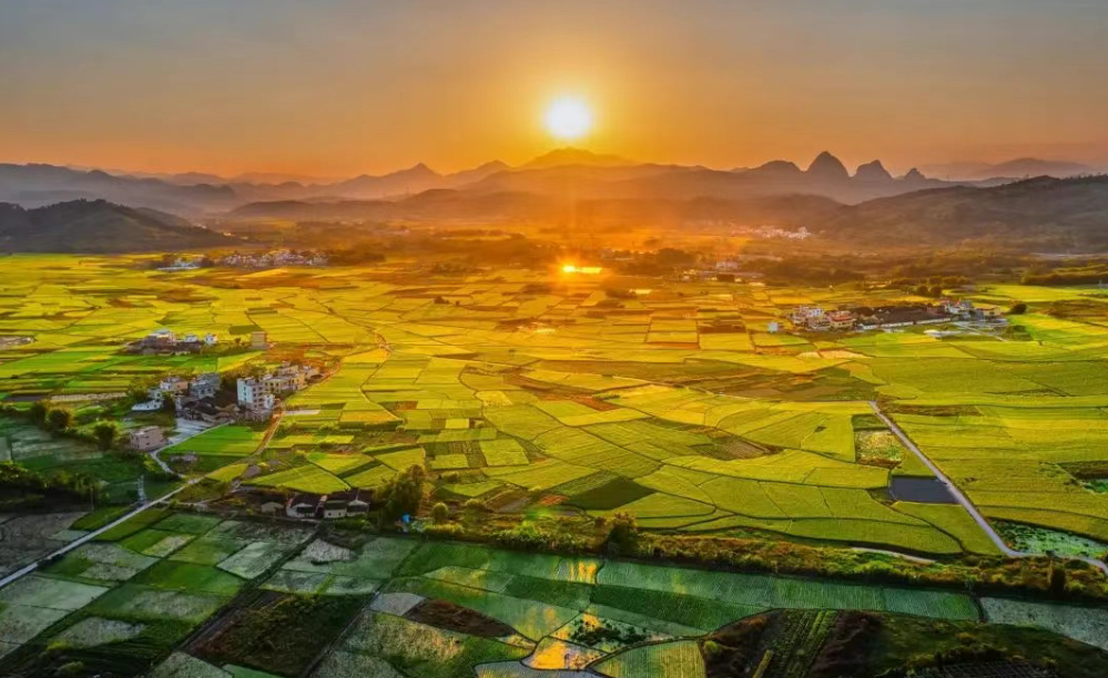 【鄉村振興模式】“農業+旅游+康養”，如何以特色和創意進行規劃?