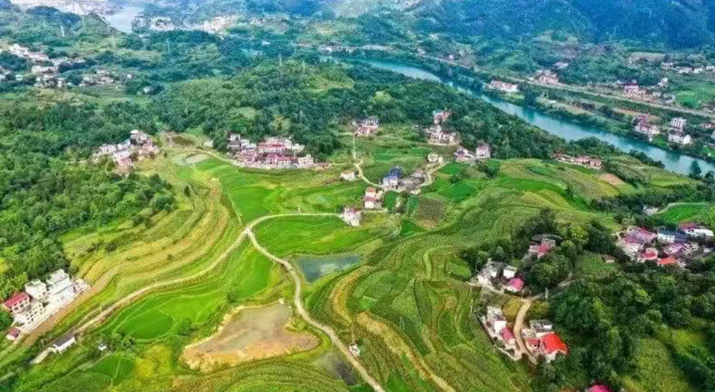 【實戰操作】鄉村產業發展規劃策略：目標+定位+原則+設計