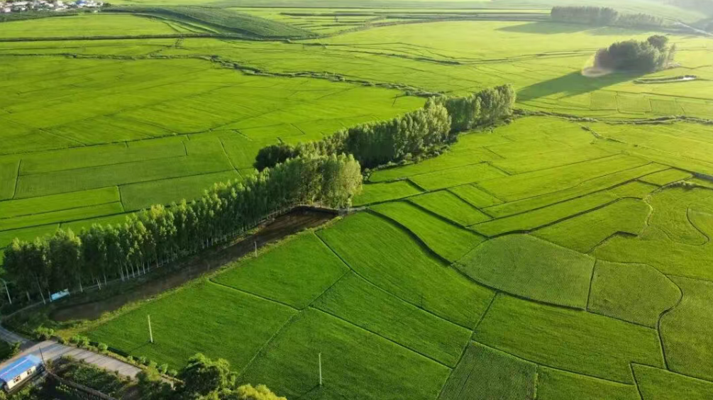萬字長文！鄉村振興的9種發展模式與36個鄉村振興經典案例