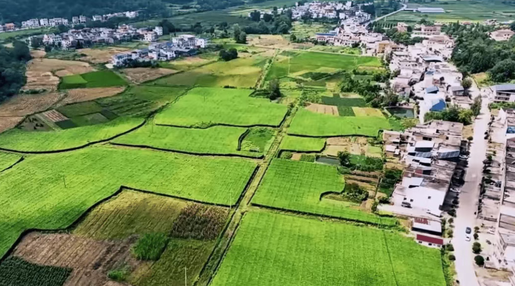 村莊如何蹚出振興路子——北京市平谷區魚子山村鄉村振興的實踐探索與啟示