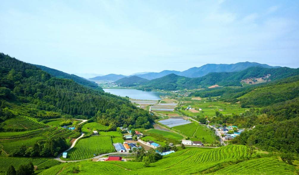 鄉(xiāng)村振興農(nóng)村一二三產(chǎn)業(yè)融合發(fā)展的內涵、做法及啟示