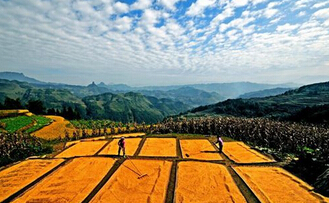 農村土地改革能否保障老百姓的利益？