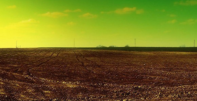 實(shí)操！值得借鑒的6大親子農(nóng)業(yè)經(jīng)營(yíng)模式 