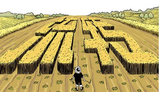 干貨|關(guān)于“農(nóng)村土地流轉(zhuǎn)”看這一篇文章就夠了