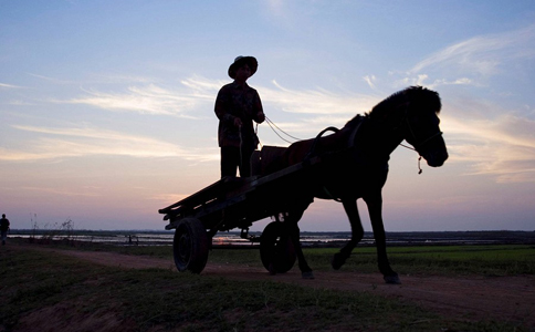 盤(pán)點(diǎn)!土地確權(quán)已1365天，農(nóng)村人還要弄清楚這15大焦點(diǎn)問(wèn)題!