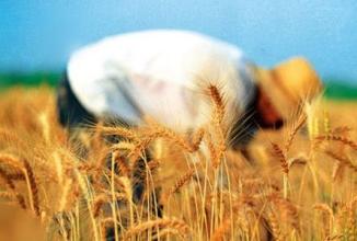 農(nóng)業(yè)部是如何規(guī)范農(nóng)村土地流轉(zhuǎn)的？