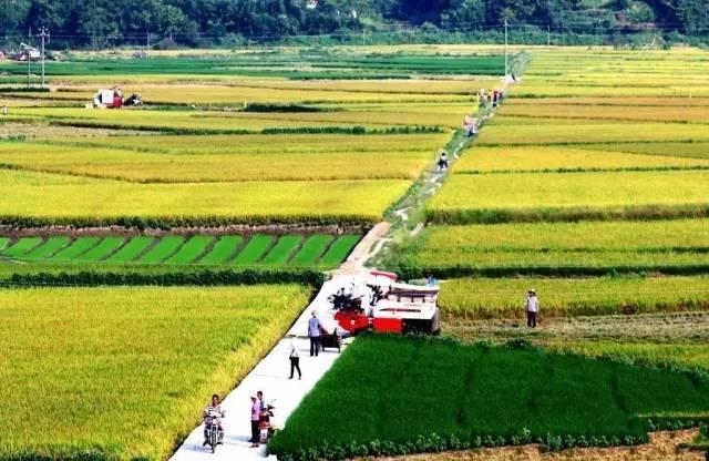 農(nóng)村土地30年不調(diào)整，新增人口咋辦，減人了又咋整?