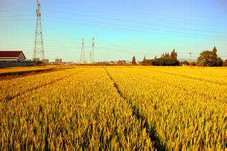 土地確權(quán)的這十大問(wèn)題，你一定要看