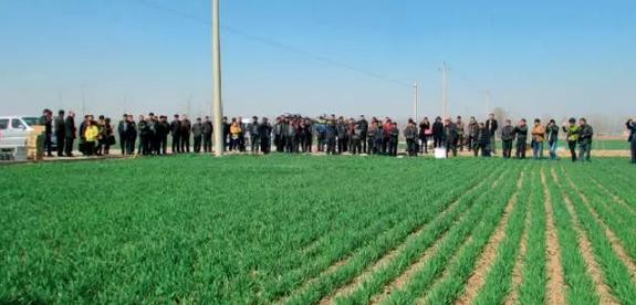 土地托管能從根本上解決誰來種地的問題嗎？